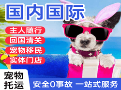 成都机场货运国际宠物托运 【国